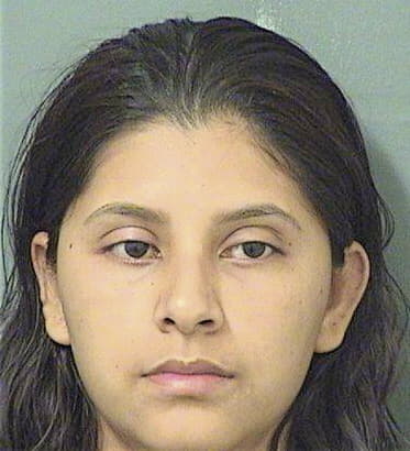 Danielle Montagnino - Palm Beach County, FL 